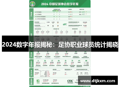2024数字年报揭秘：足协职业球员统计揭晓